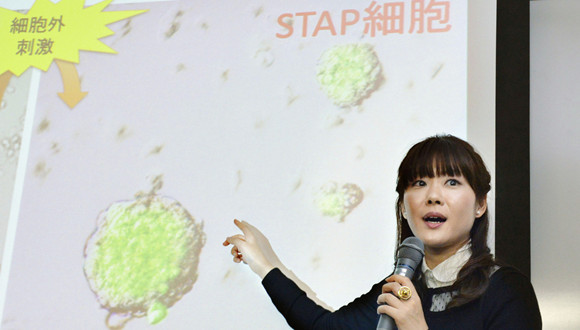 小保方晴子,学术丑闻