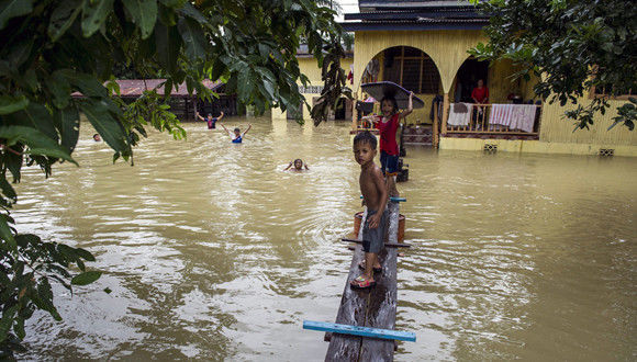 马来西亚,洪灾,棕榈油