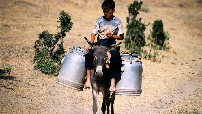 石油,伊朗核问题,伊朗