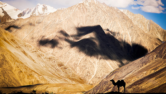 去哪儿网公布财报,去哪儿拒绝携程收购要约