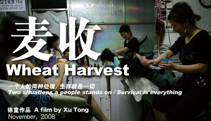 纪录片,《麦收》