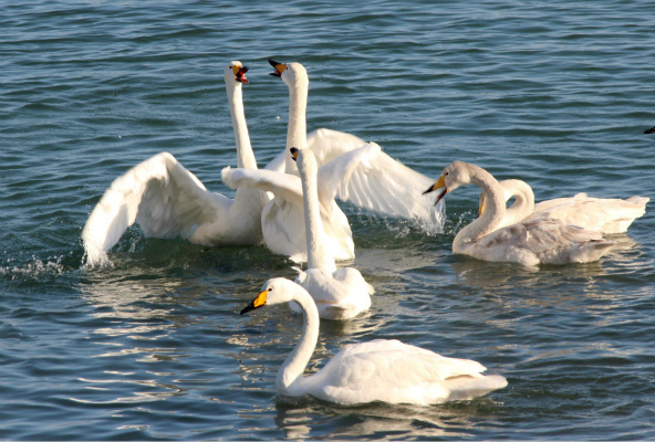 自然保护区,发改委,保尔森基金会