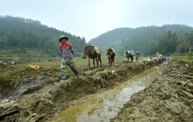鄂北地区,干旱,水利,丹江口水库