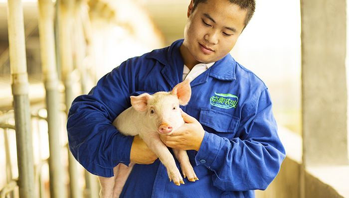 硕腾亚太最大工厂扩建完成