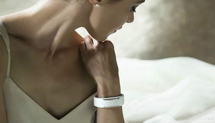 可穿戴设备,时尚品牌