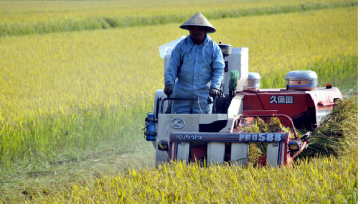 粮食安全,省长,考核