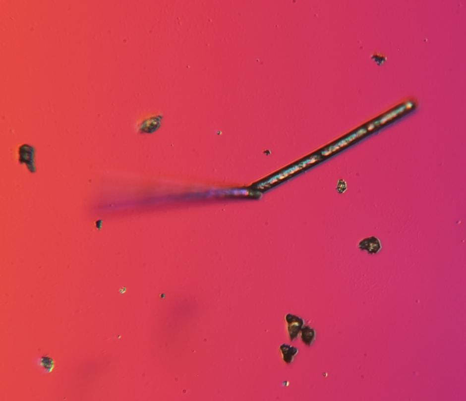 北京霾颗粒在显微镜下放大1000倍 竟是这个样