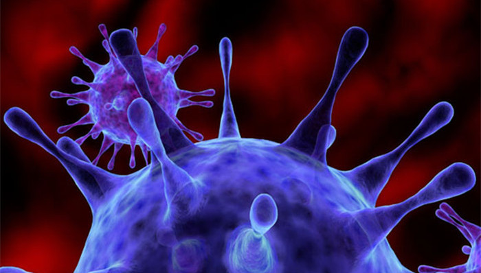 中国,超级细菌,抗生素