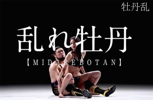文章配图