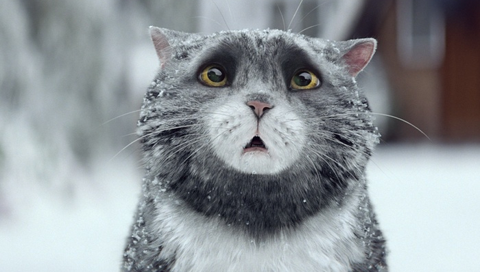 圣诞,英国,广告,超级碗