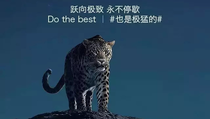 微信朋友圈,朋友圈广告,品牌营销