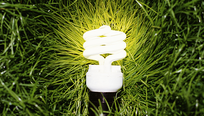 中国推可再生能源发电配额制和绿色证书交易