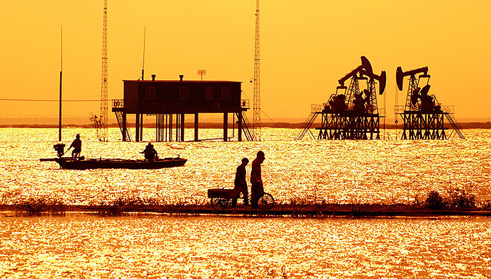 中海油去年净利润202亿元