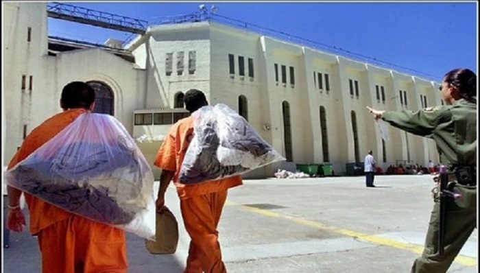 美国,监狱,教育,监狱大学