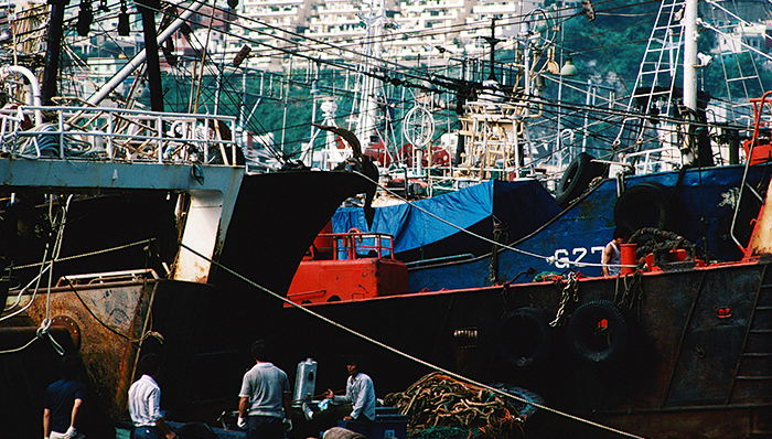 浙江造船有限公司目前正在进行破产重组