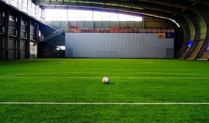 上海,崇明岛,足球,徐根宝