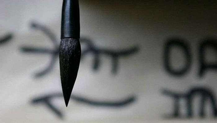 民政部,离岸社团,山寨社团,民间组织