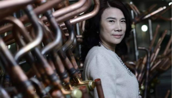 格力电器,董明珠