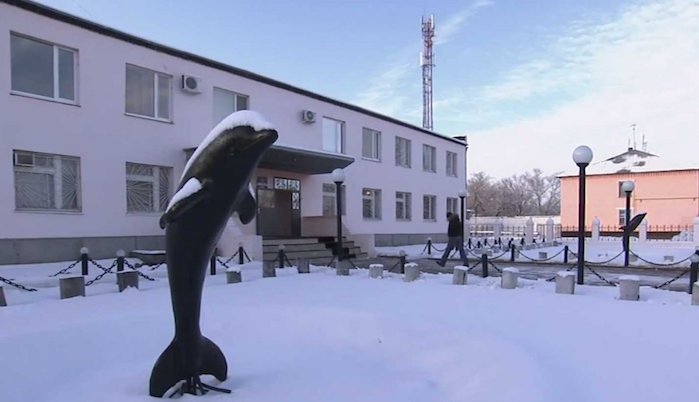 俄罗斯方块,军情解码