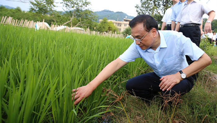 李克强,江西,稻谷