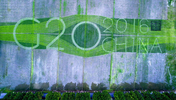 IMF,峰会,易纲,份额,g20绿色金融综合报告,二十国集团,债券,改革,金融体系,温室气体