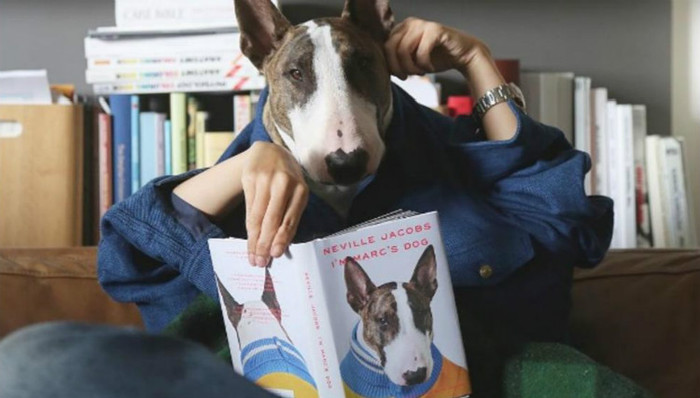 Marc Jacobs的狗出了本书 想分享一些穿搭心得