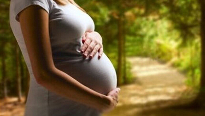 产假,计生条例,两孩