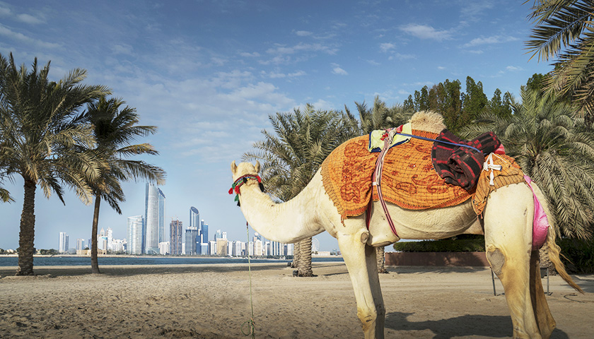 阿联酋对中国开放免签 最长停留30天