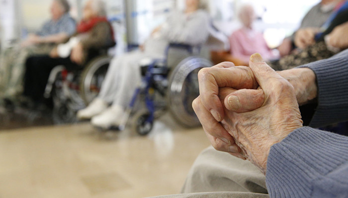 养老院,父母,垃圾焚烧厂,民警,小偷,村民,河道,挖宝,河北,污染