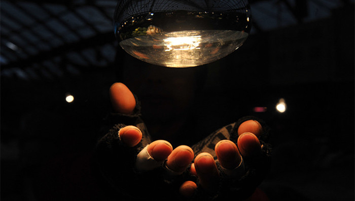 民生,法律法规,实施