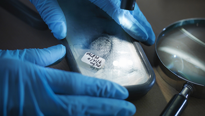 阳阳,DNA,当事人,航班,女主播,送检,李某,法制晚报,取证,事件