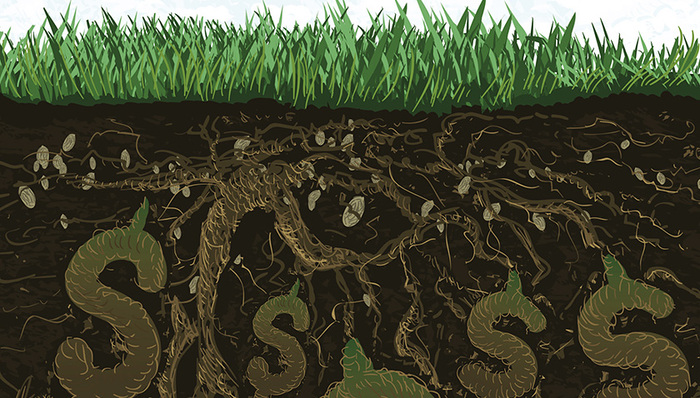 上市公司,光大银行