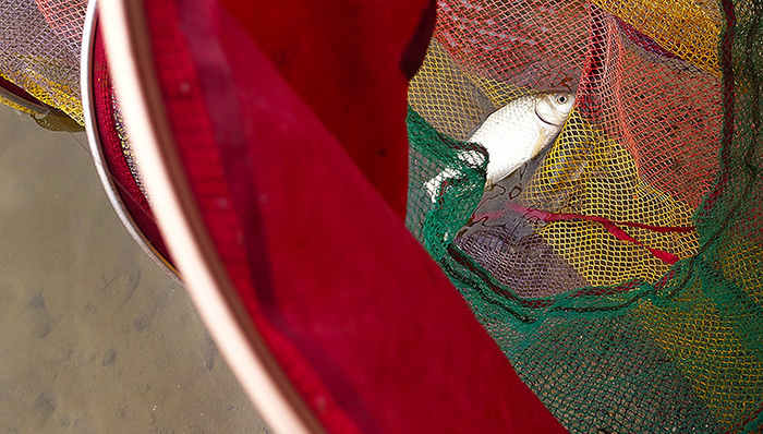 春节,湖南,钓鱼