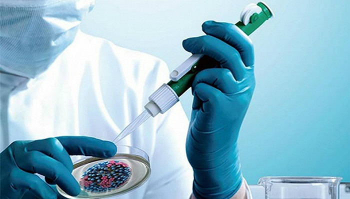 WHO,H7N9,世卫组织