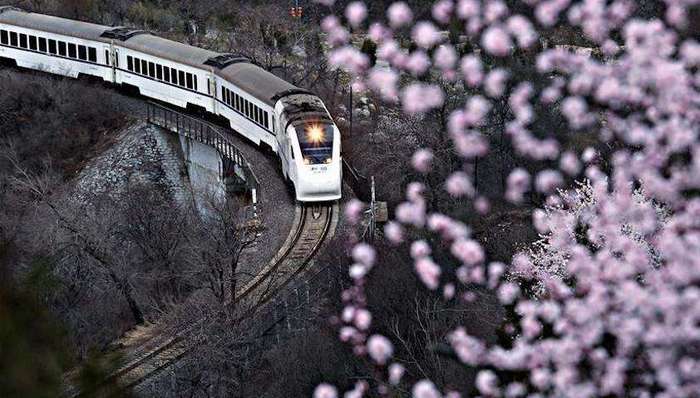 北京,居庸关,花海列车,游客,逼停,封路,天津,法院,炒卖,购房合同,江苏,泰兴检察院,科长,醉驾,