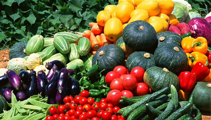 食药监管,热点关注