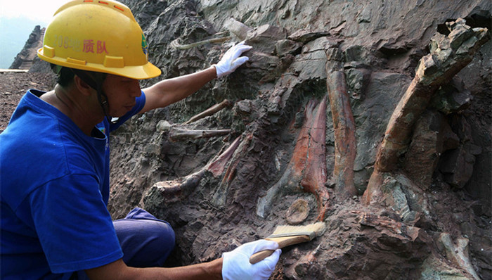 恐龙化石,云阳县普安乡,世界级
