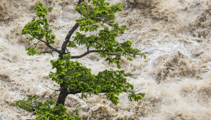 湖南,洪涝灾害,死亡人数