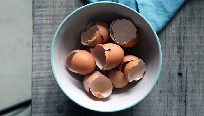 Hampton,Creek,Thiel,Tetrick,Josh,科技公司,CEO,明星,公司管理,