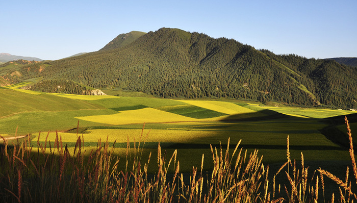 绿发会,甘肃,祁连山,公益诉讼