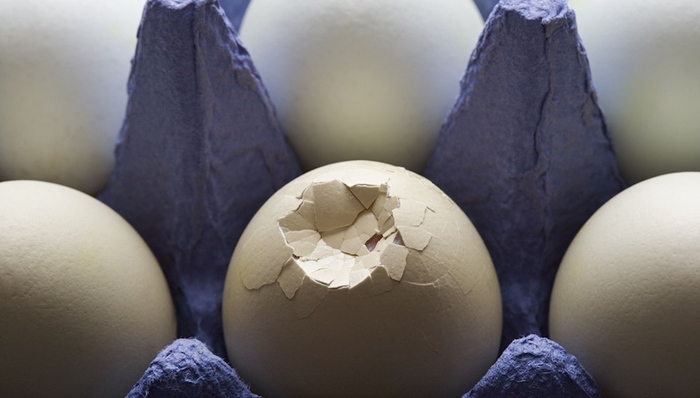 欧洲社会,天下故事