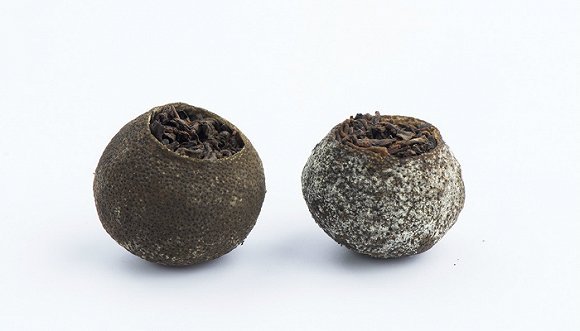 小青柑