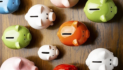 ICO,江湖郎中,墙纸,背书人,水仙,生态,dama,公司,代币,美容美发