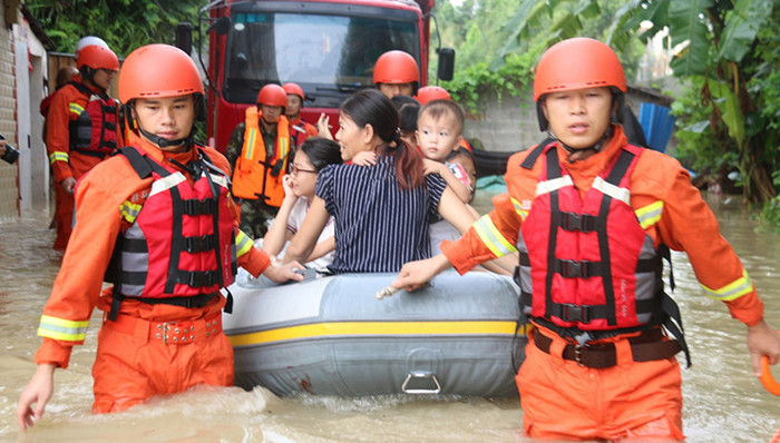 台风,天鸽,经济损失