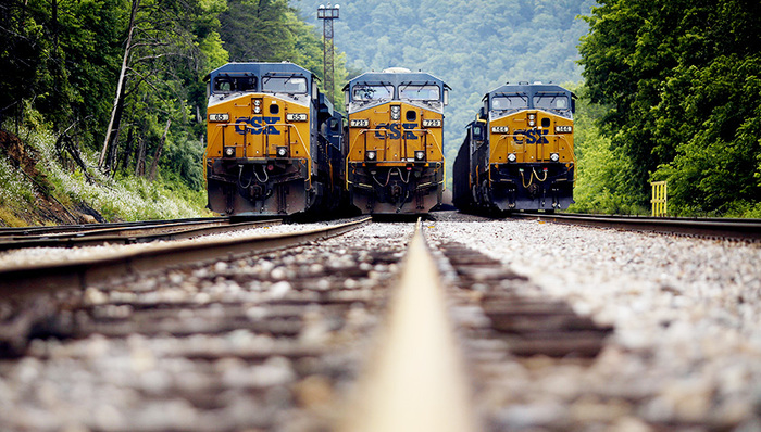 碳账户,虚拟树木