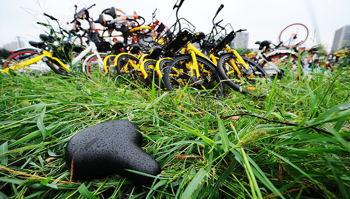 成都,绿道,摩拜,乱象,单车,世界环境日,每日电讯报,成都模式,quora,惊艳蓝