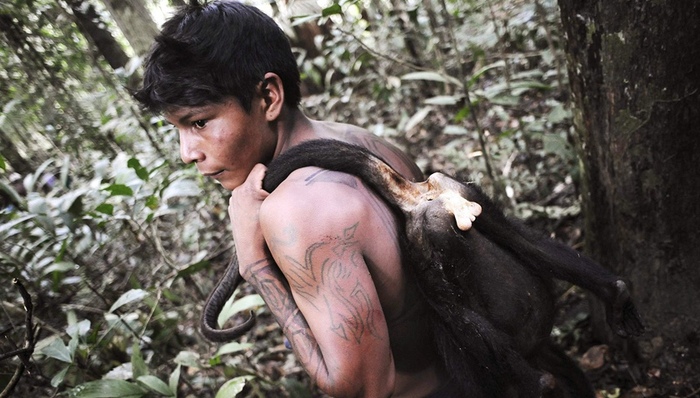 亚马逊,巴西,原始部落