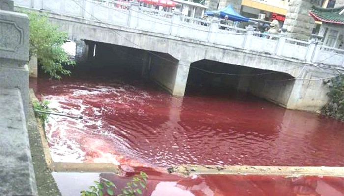 濂溪河,九江,屠宰企业