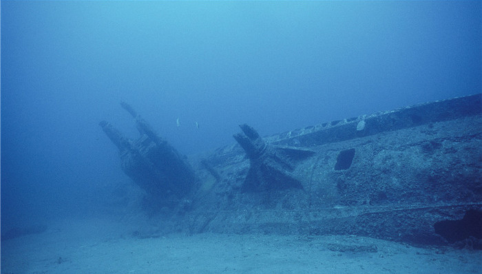 天下故事,惊奇的发现