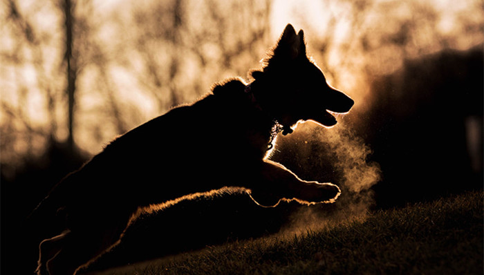 限骑令,共享单车,蝶贝蕾,传销组织,网红学院,幼儿园,举报补课,北师大,校徽月饼,九寨沟地震